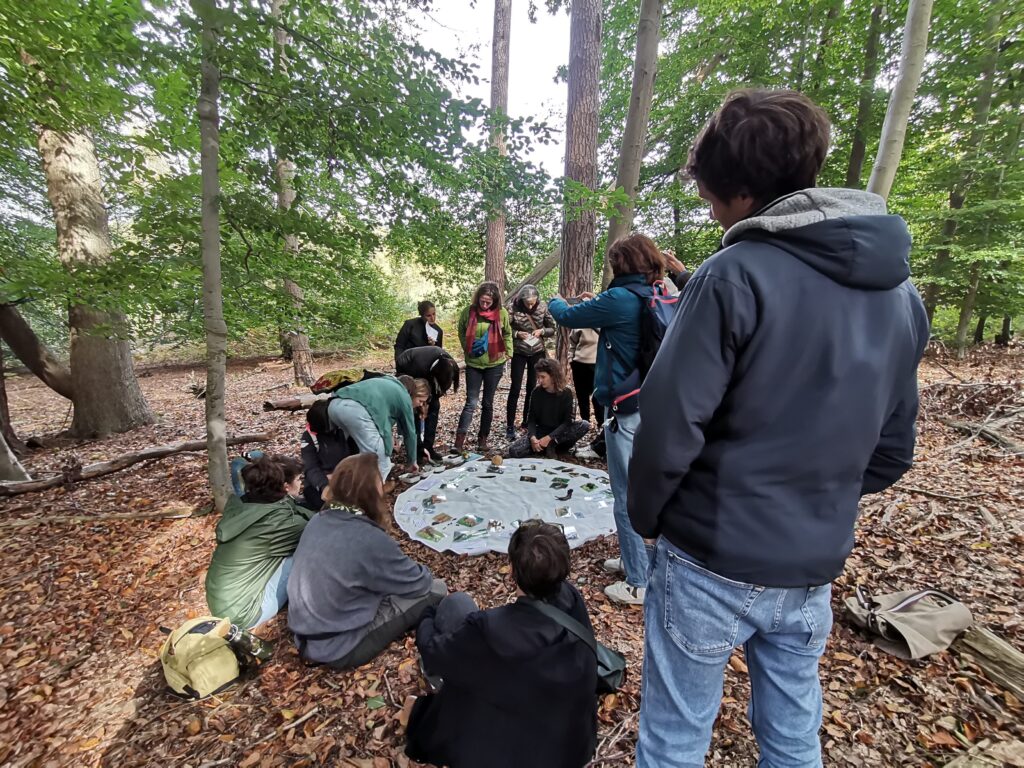 groupes de personnes dans la forêt pour une formation naturaliste