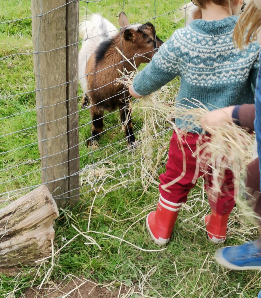 enfants et chèvre pour activité vie à la ferme