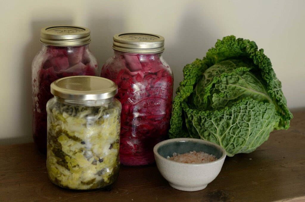 Lactofermentation