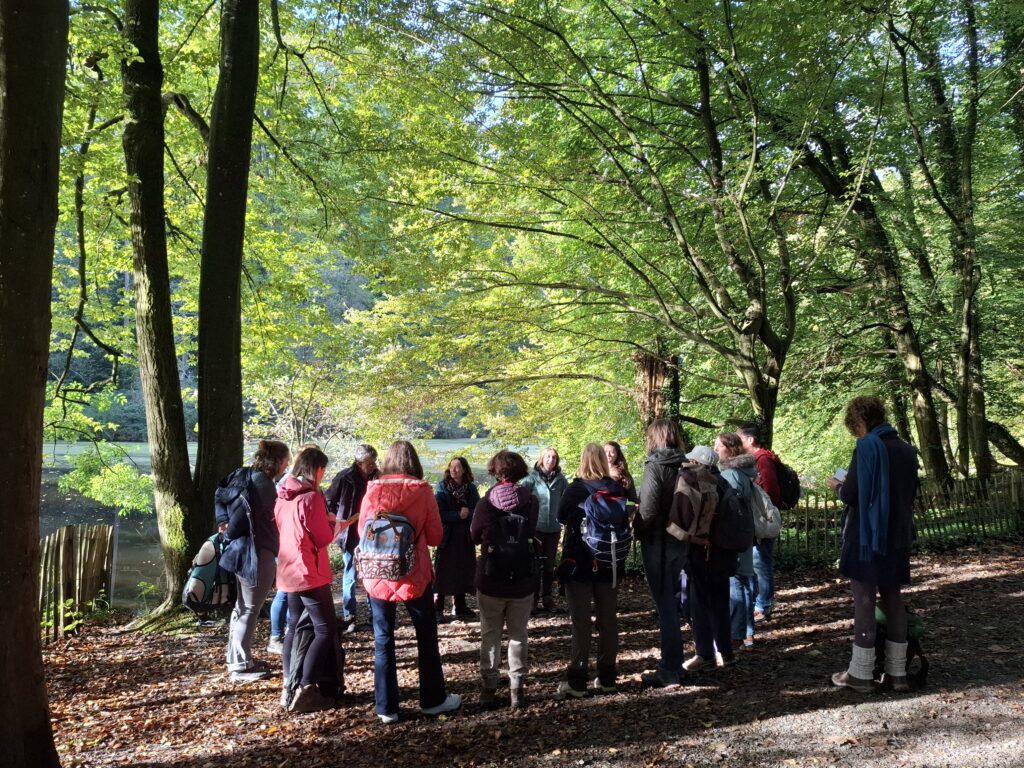 petits mystères de l'étang et du sous-bois