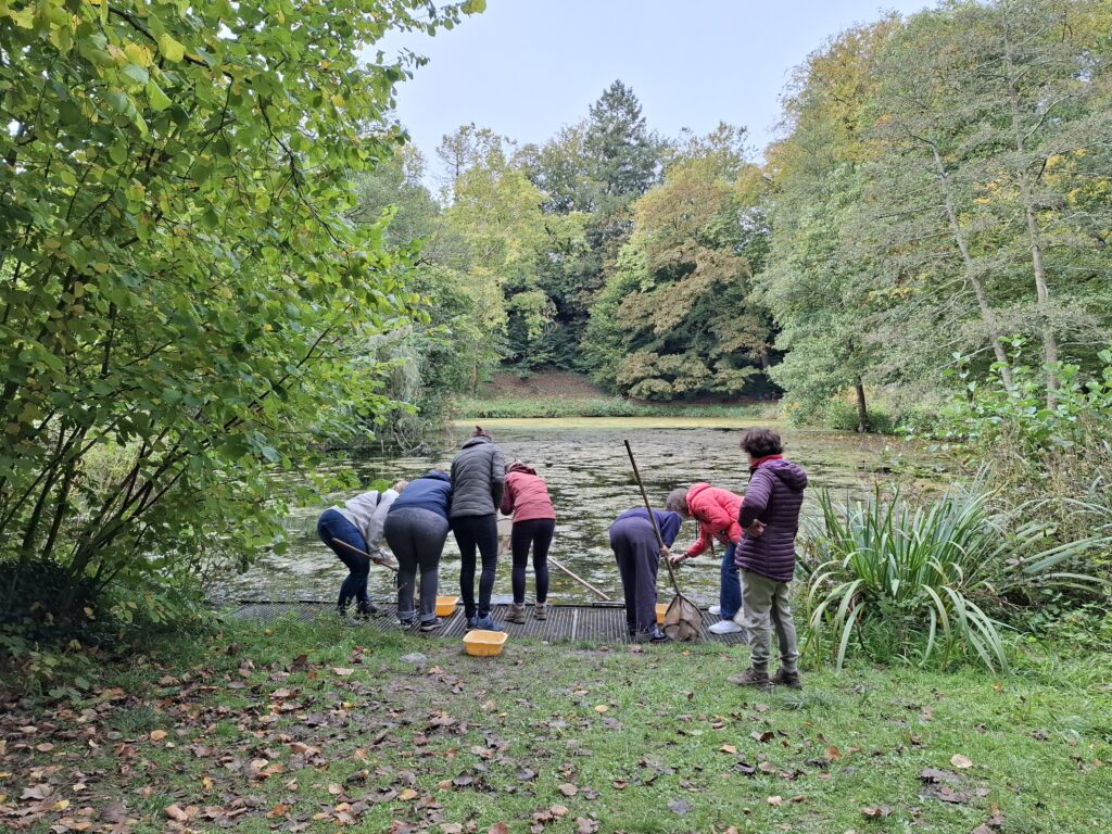 les petits mystères de l'étang et du sous-bois