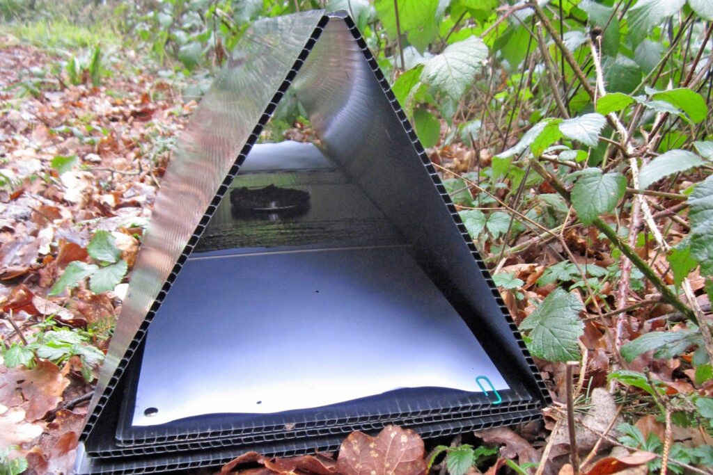 sporentunnel