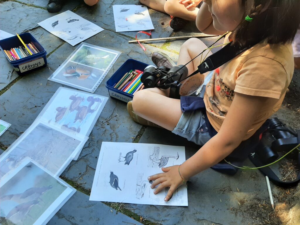 stage enfant zomernatuurkamp