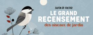 bannière Natagora Le Grand Recensement