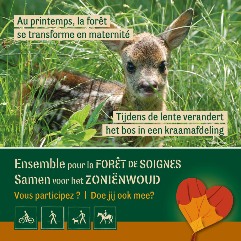 Ensemble pour la Forêt de Soignes
