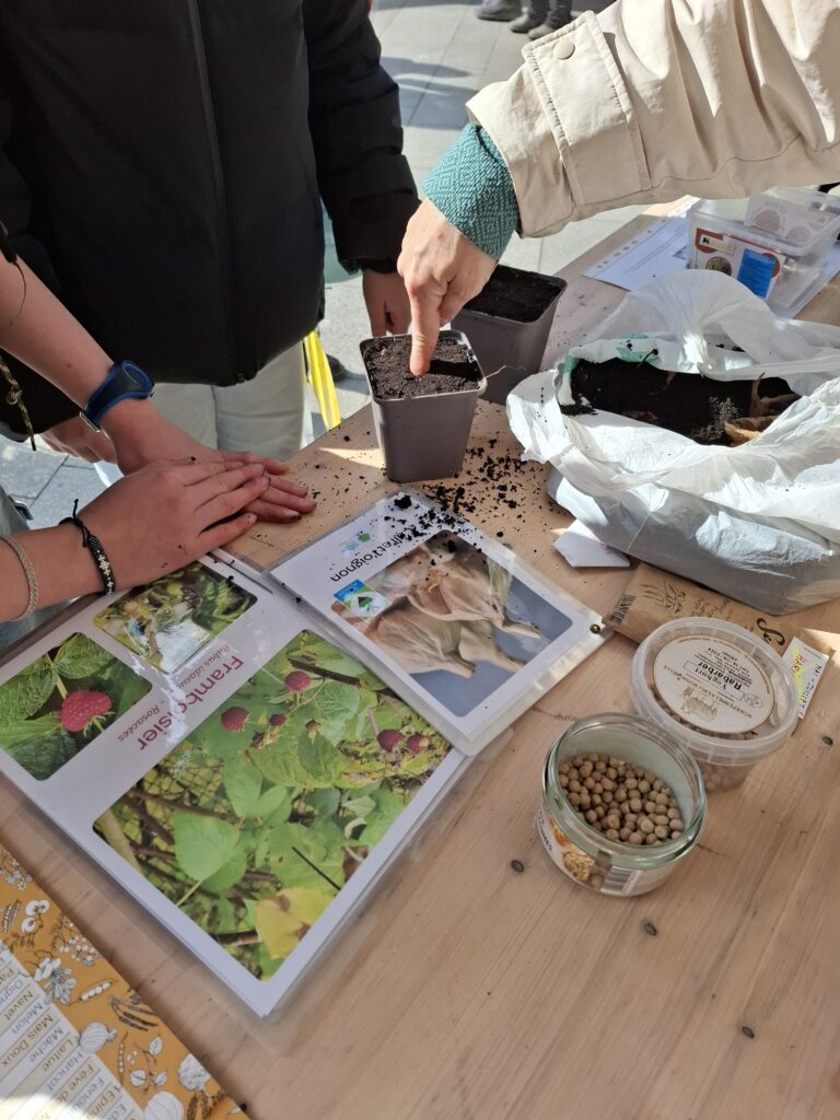 Guides Potager