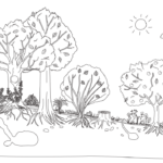 Fresque de la biodiversité