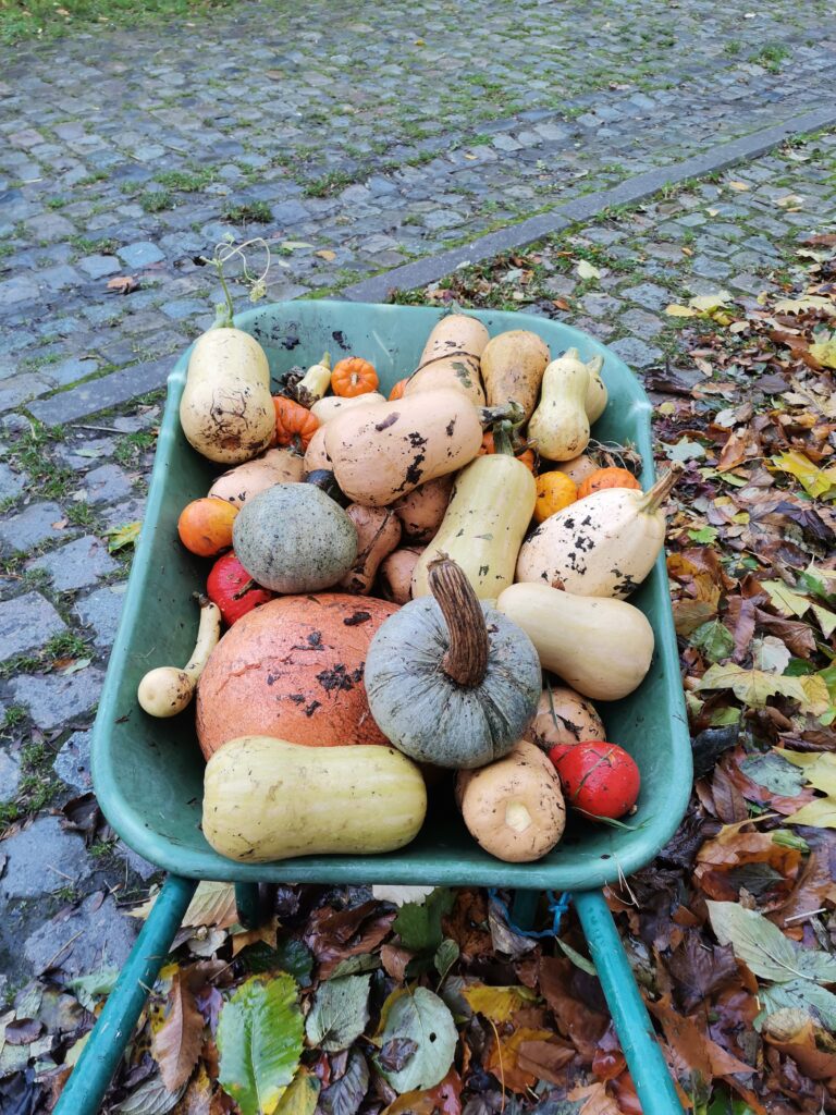 pompoenen