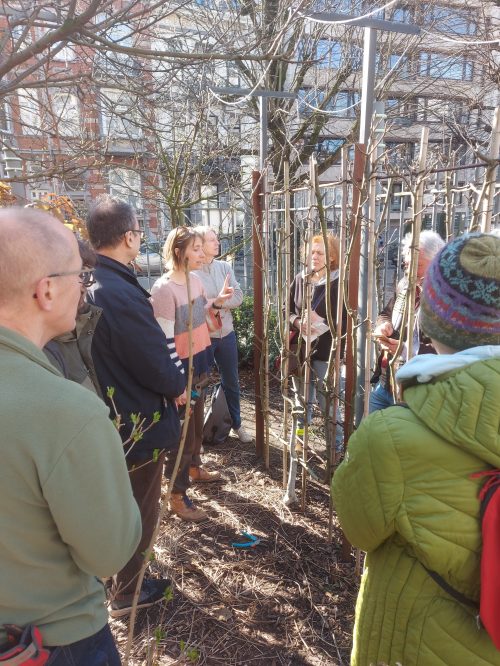 Guide Potager Guide Potager