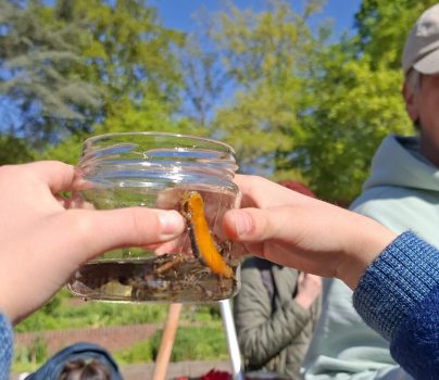 mini pêche bioblitz
